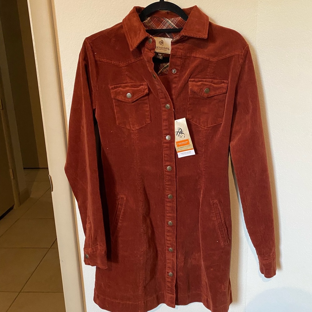 Corduroy burnt orange dress, new